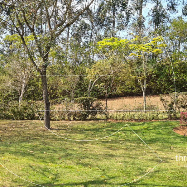 eee-Residencia-905-001