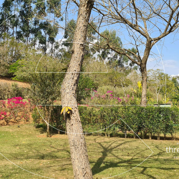 eee-Residencia-905-002